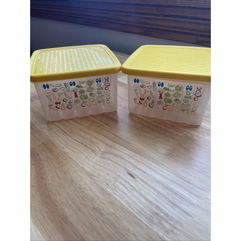 Tupperware 3993A-4 Small Fridge Smart Vented Square Set Of 2  4½ cups/1.1 L